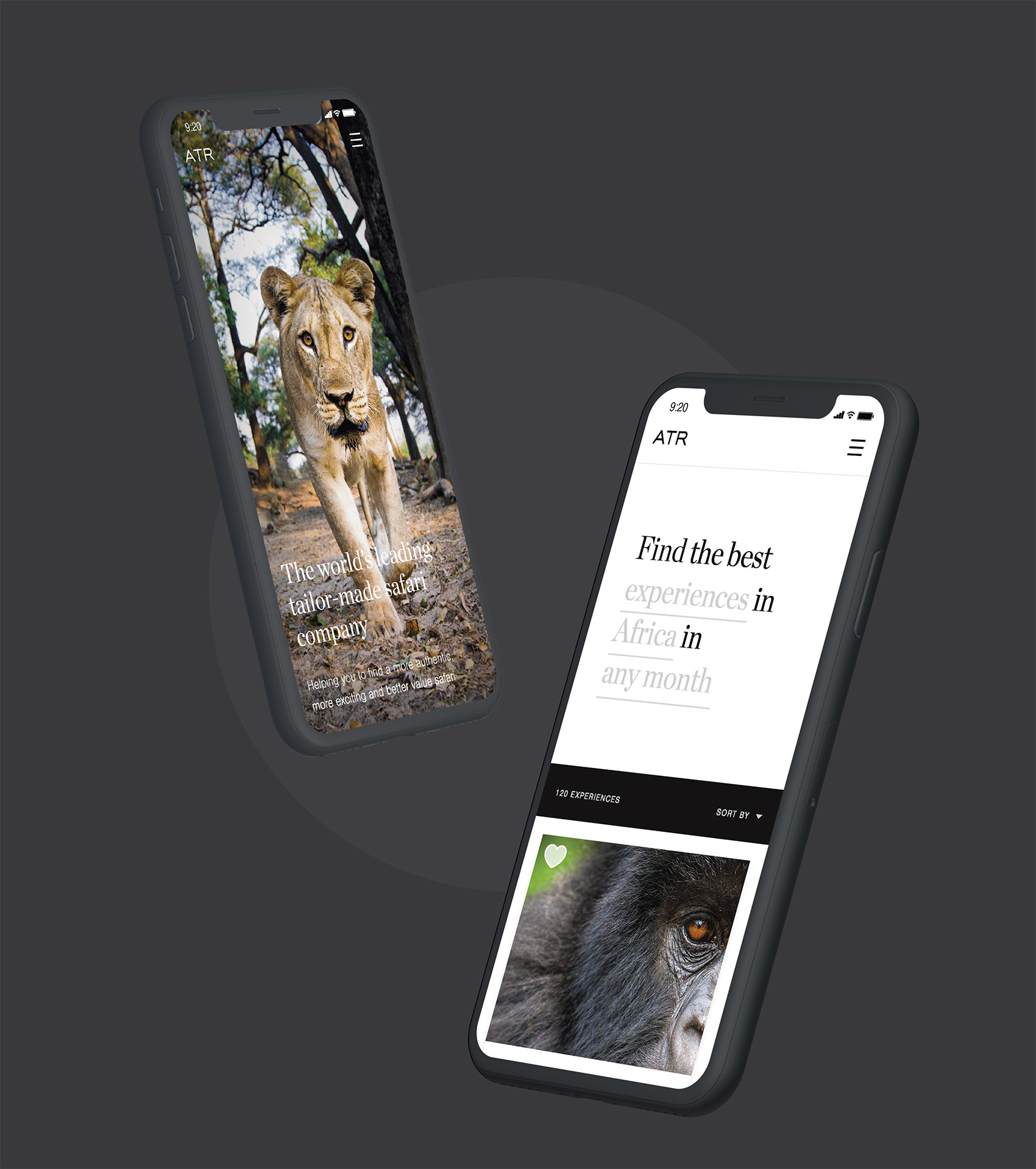 Travel website designs