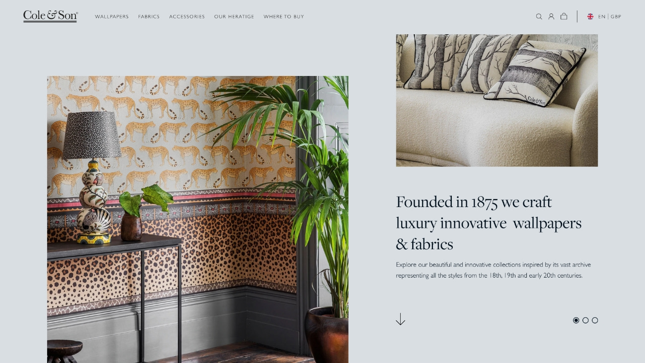 Homepage Design of Shopify Website