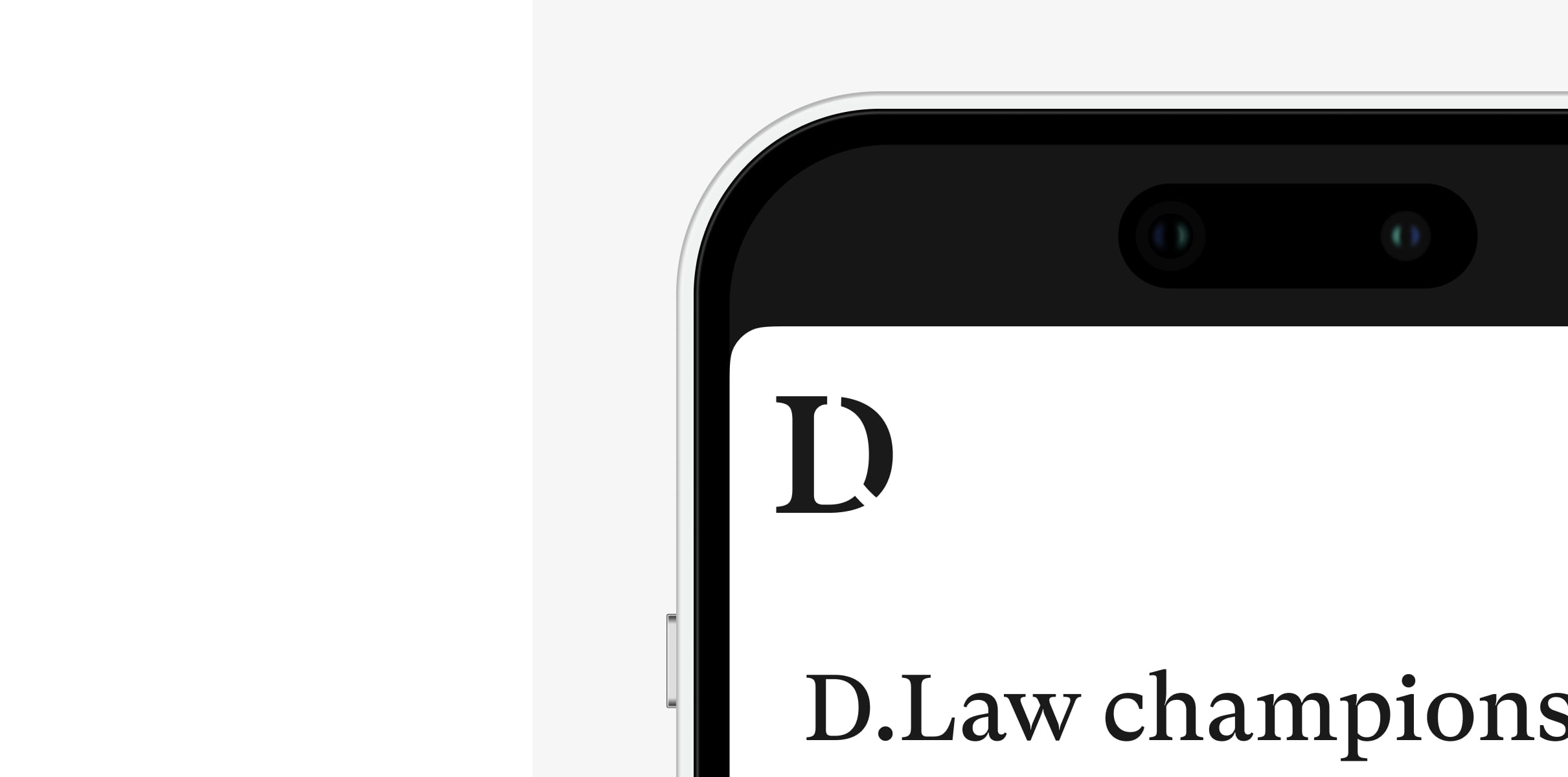D.Law web design on mobile