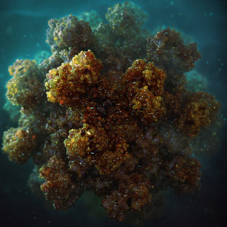 Random42 animation frame