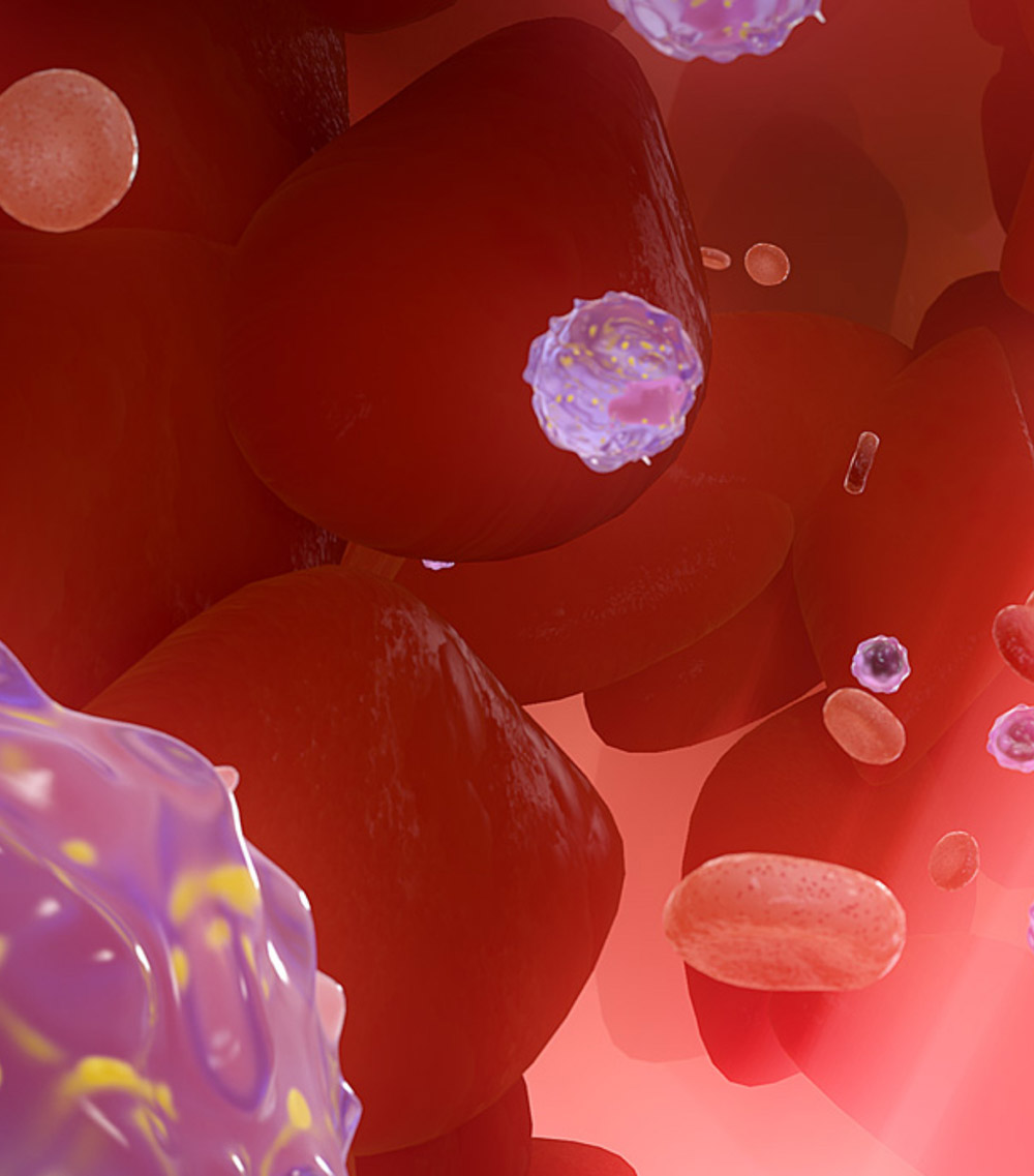 Random 42 web design