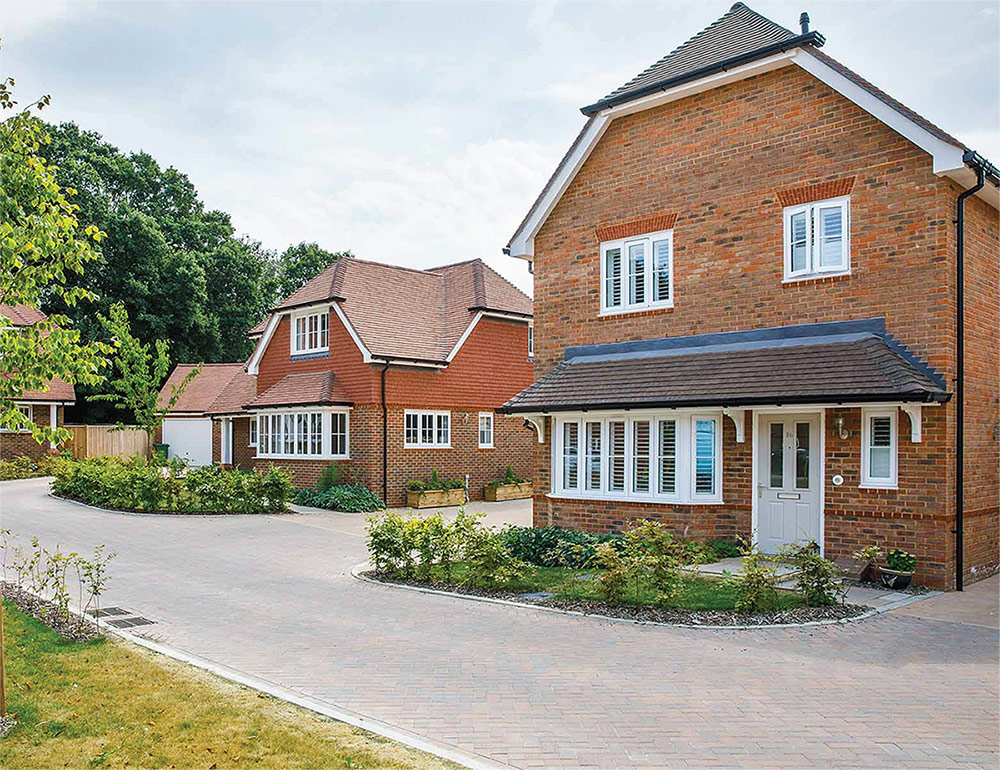 Wordpress web design